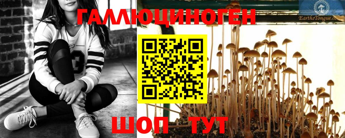 Псилоцибиновые грибы Magic Shrooms Дербент