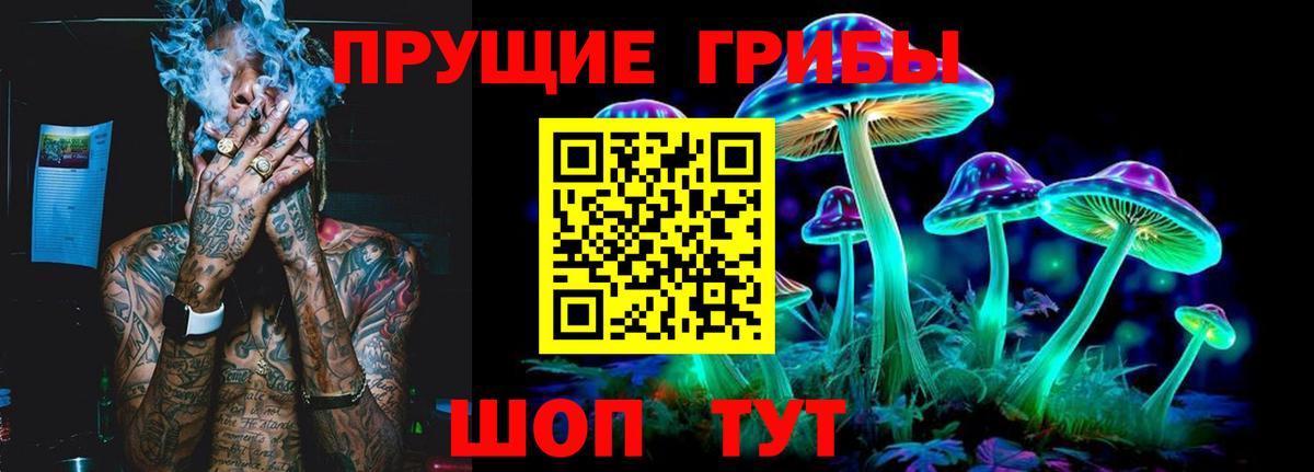 Дербент  Псилоцибиновые грибы MAGIC MUSHROOMS  Вход с VPN  Псилоцибиновые грибы Psilocybine cubensis 